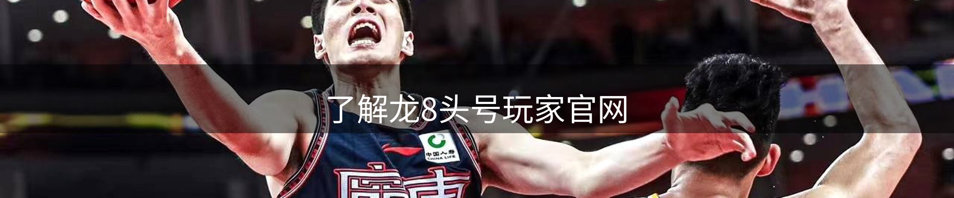 了解龙8头号玩家官网